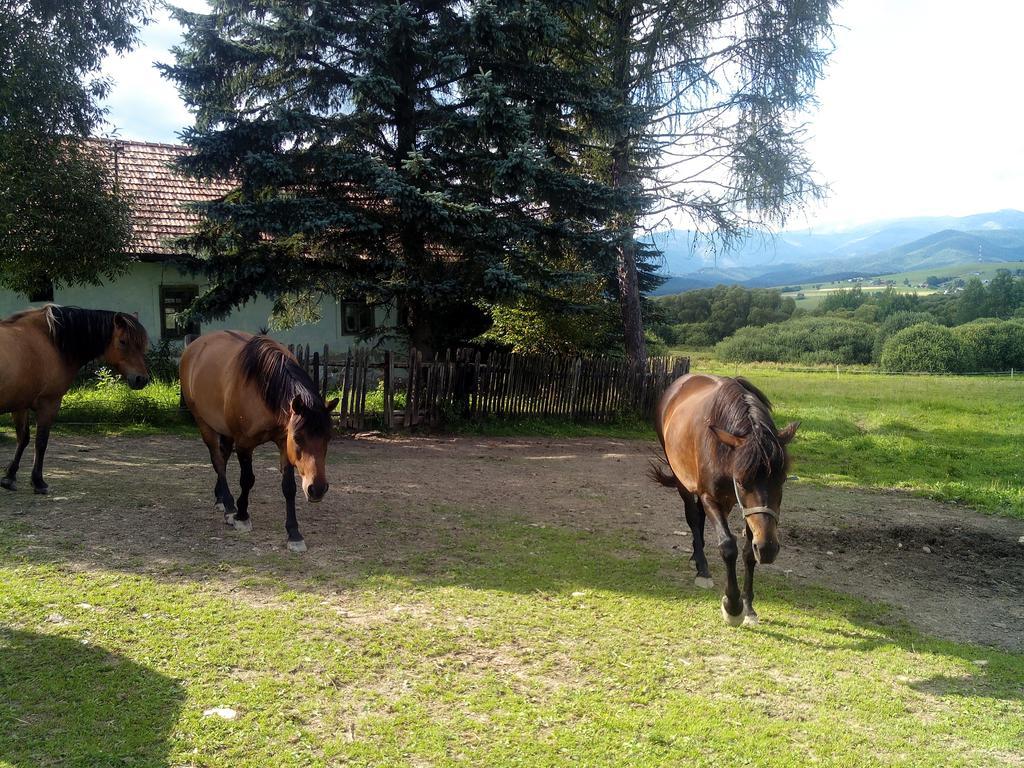 Farma Kozi Dvor Rohozna Διαμέρισμα Brezno Εξωτερικό φωτογραφία