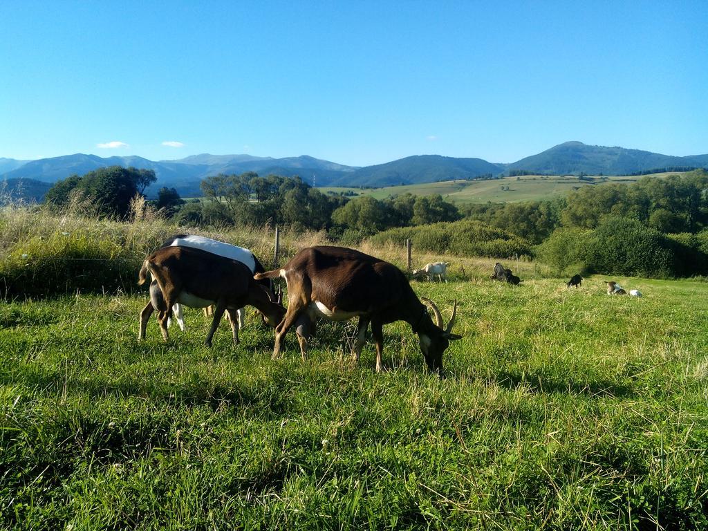 Farma Kozi Dvor Rohozna Διαμέρισμα Brezno Εξωτερικό φωτογραφία