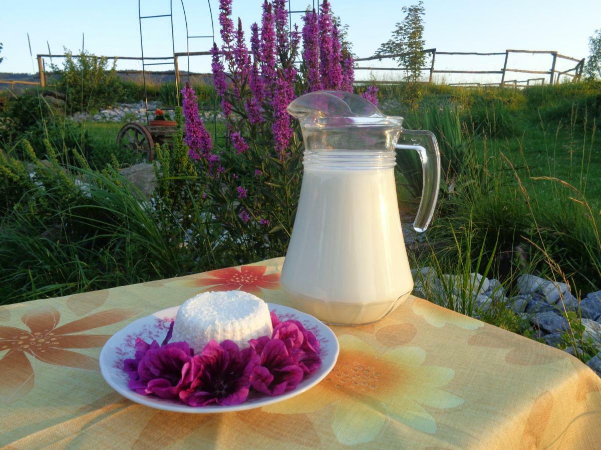 Farma Kozi Dvor Rohozna Διαμέρισμα Brezno Εξωτερικό φωτογραφία